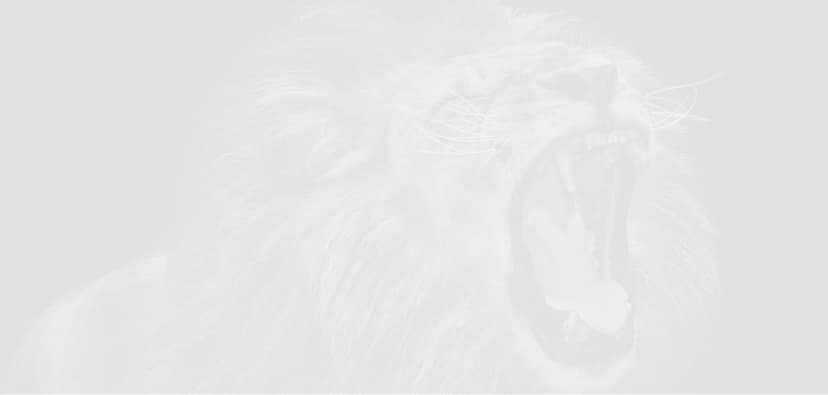 Correction Territory: Be The Lion In The Chaos